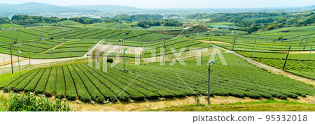 香氣四溢的景區“八女中央茶園” 旅遊景點：綠地毯景色一望無際 95332018