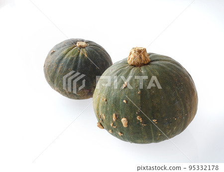 Botchan Pumpkin 95332178