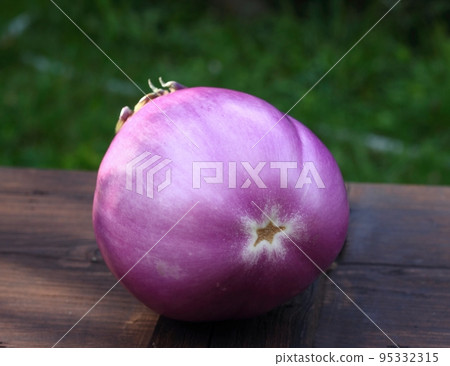 Blue non bitter aubergine on wooden table 95332315