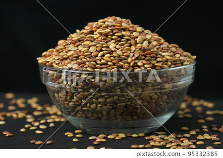Madras gram seeds, Macrotyloma uniflorum, Satara, Maharashtra, India 95332385