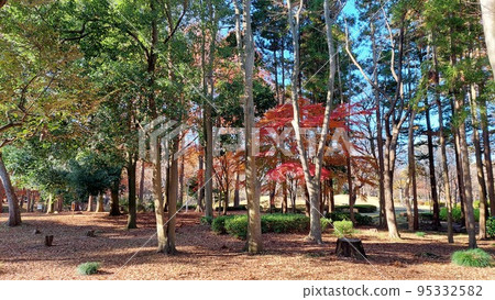 秋葉公園 秋葉公園 95332582