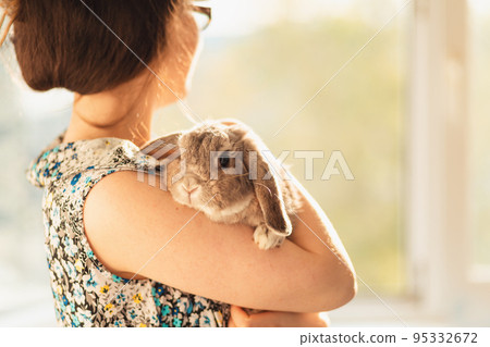 Decorative lop-eared gray cute rabbit sitting on the hands of a woman. Copy space. Concept of animal protection and care Decorative lop-eared gray cute rabbit sitting on the hands of a woman. Copy space. Concept of animal protection and care 95332672