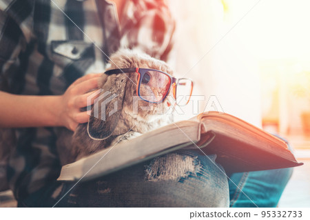 A person shows a book to a lop-eared rabbit with glasses, who is sitting on his lap. The concept of education and reading A person shows a book to a lop-eared rabbit with glasses, who is sitting on his lap. The concept of education and reading 95332733