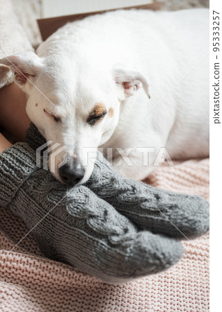Legs of a young girl in cozy knitted socks 95333257