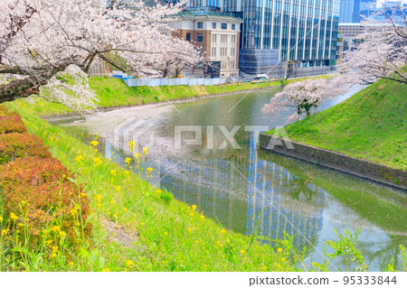 [Urban scenery of Tokyo] Cherry blossoms near Chidorigafuchi 95333844