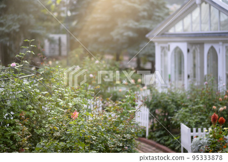 光線傾瀉而下的玫瑰園的圖像剪輯 95333878