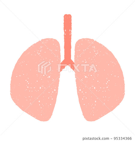 hand drawn illustration of lungs 95334366