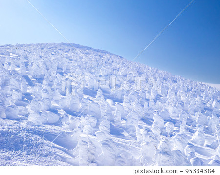 地藏山山頂結滿了霜凍的樹木（山形縣藏王溫泉滑雪場） 95334384
