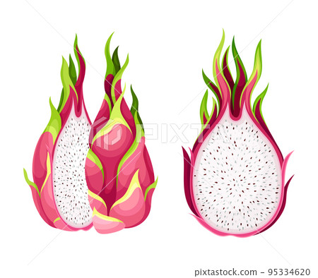 Pitaya or Pitahaya Fruit of Cactus Species with White Flesh and Black, Crunchy Seed Vector Set 95334620