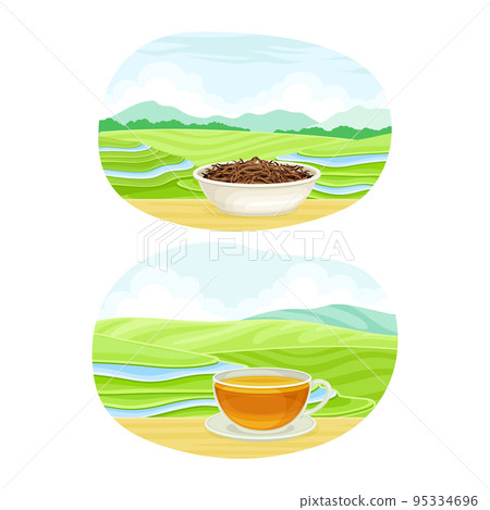 Tea Green Terrace Field Plantation and Cup with Hot Aromatic Beverage Vector Set 95334696