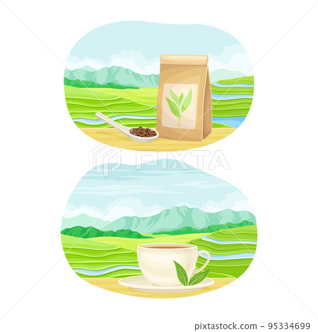 Tea Green Terrace Field Plantation and Cup with Hot Aromatic Beverage Vector Set Tea Green Terrace Field Plantation and Cup with Hot Aromatic Beverage Vector Set 95334699