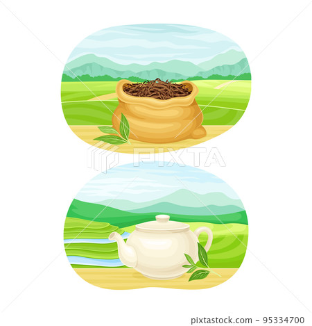 Tea Green Terrace Field Plantation with Sack and Teapot with Hot Aromatic Beverage Vector Set Tea Green Terrace Field Plantation with Sack and Teapot with Hot Aromatic Beverage Vector Set 95334700