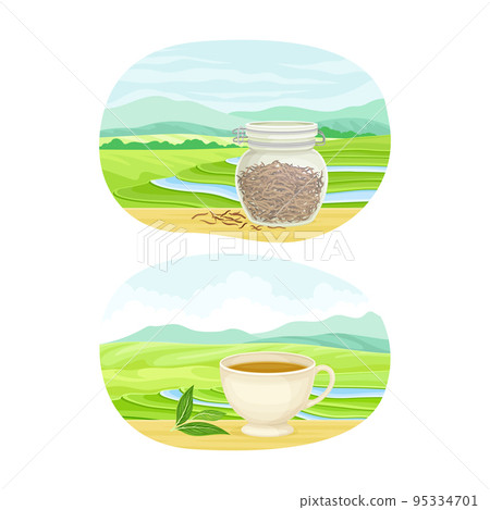 Tea Green Terrace Field Plantation and Cup with Hot Aromatic Beverage Vector Set Tea Green Terrace Field Plantation and Cup with Hot Aromatic Beverage Vector Set 95334701