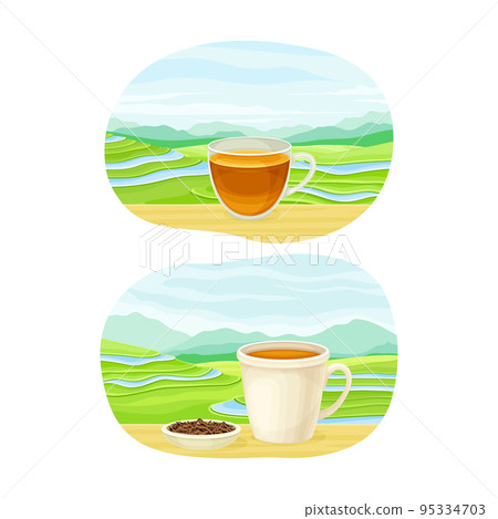 Tea Green Terrace Field Plantation and Cup with Hot Aromatic Beverage Vector Set Tea Green Terrace Field Plantation and Cup with Hot Aromatic Beverage Vector Set 95334703