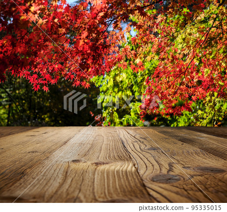 Autumn maple leaves on wooden  table.Falling leaves natural background. 95335015