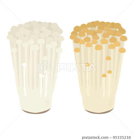 金針菇插畫 95335238