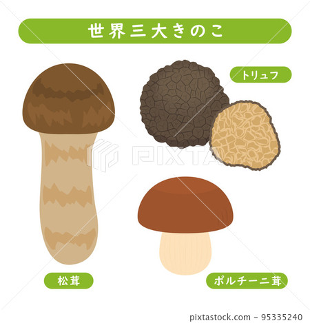 Illustration of the world's three largest mushrooms 95335240