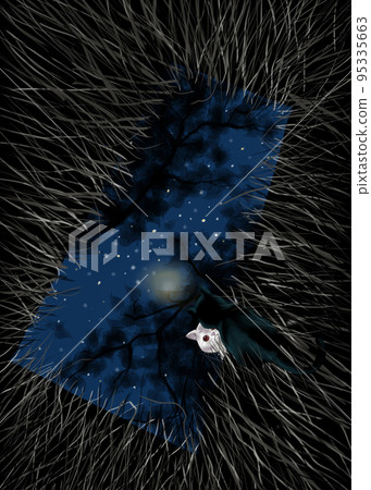 The black cat sat looking at the mirror reflection in the meadow to a new world. 95335663