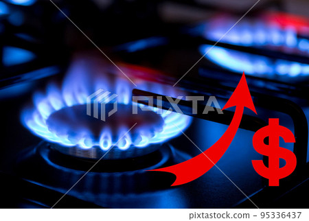 Gas burner on black modern kitchen stove with dollar sign Gas burner on black modern kitchen stove with dollar sign 95336437