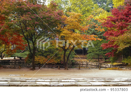 宗廟郊遊 95337803