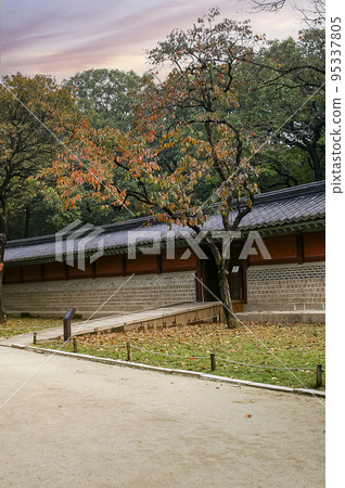 宗廟郊遊 95337805