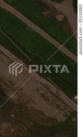 用無人機(北海道紋別郡北家町)從天空拍攝的“公園/道路” 用無人機(北海道紋別郡北家町)從天空拍攝的“公園/道路” 95338868