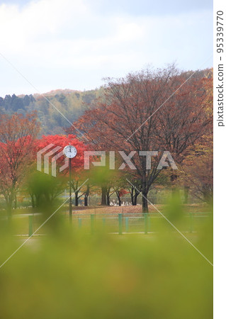 秋天的森林公園（太古山樂園*富山縣水水市） 95339770