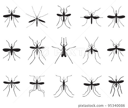 dragonfly, silhouettes, insect 95340086