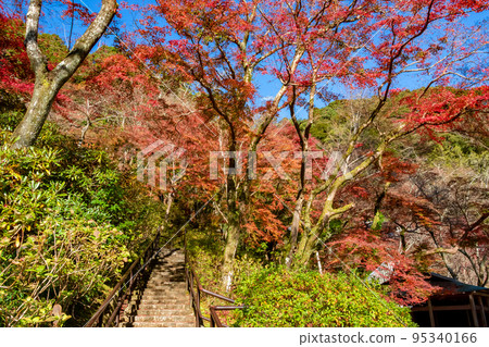 奈良縣長谷寺秋季鮮紅的秋葉和清澈的藍天 95340166