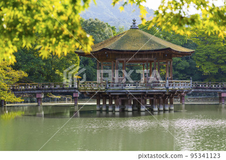 Sagiike池塘中心的浮見堂奈良公園，初秋的早晨 95341123