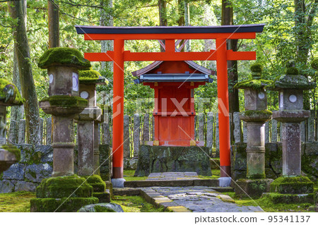 The approach to Kasuga Taisha Shrine, Tsubogami Shrine [Nara Park] 95341137