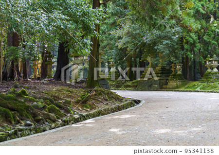 A quiet approach to Kasuga Taisha [Nara Park] 95341138