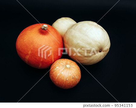 Three pumpkins isolated on the dark background. Close-up 95341153