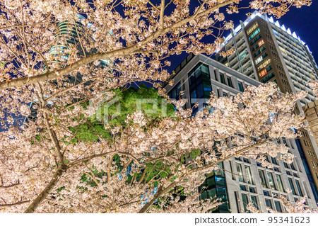 [Urban landscape of Tokyo] Night cherry blossoms in full bloom around Akasaka Sakurazaka 95341623