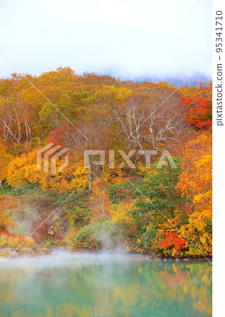 Autumn leaves of Jigoku-numa on Mt. Hakkoda 95341710