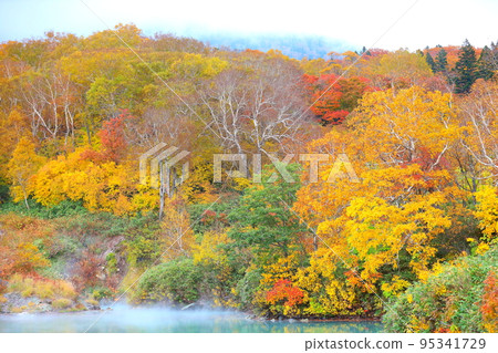 八甲田山地獄沼的紅葉 八甲田山地獄沼的紅葉 95341729