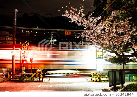 Cherry blossoms and railroad crossing 95341944