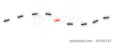 Ant colony trail. One ant changing direction. 95342353