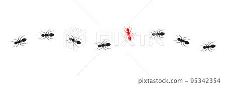 Ant colony trail. One ant changing direction. 95342354