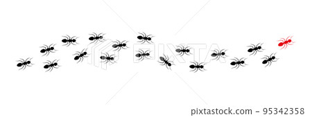 Ant leader trail. Ant leader trail. 95342358