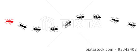 Ant leader trail. Ant leader trail. 95342408