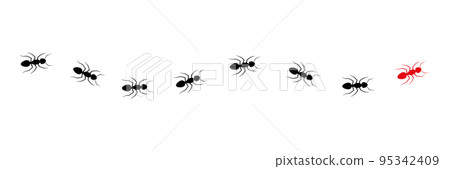 Ant leader trail. Ant leader trail. 95342409
