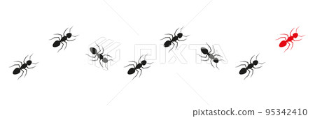 Ant leader trail. Ant leader trail. 95342410