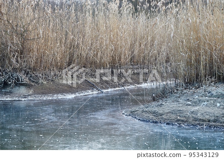 Frozen lake Tisza ice and reed canals Frozen lake Tisza ice and reed canals 95343129