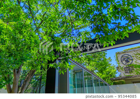 [Urban scenery of Tokyo] Urban scenery of Omotesando scenery 95344085