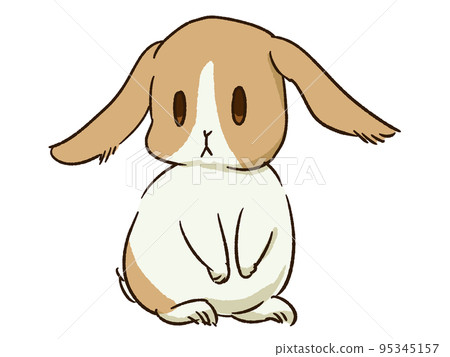 兔子荷蘭模式 1 兔子荷蘭模式 1 95345157