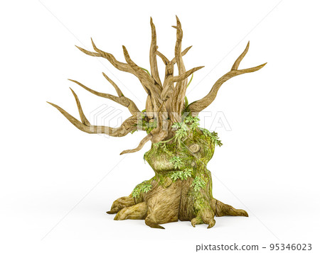 Scary dead tree with creeping plant isolated on white background, 3D rendering Scary dead tree with creeping plant isolated on white background, 3D rendering 95346023