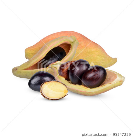 Thai chestnut, chinese chestnut, seven sisters' fruit, Sterculia nobilis) fruit. Tasty with good benefits and hight vitamins isolated on white background Thai chestnut, chinese chestnut, seven sisters' fruit, Sterculia nobilis) fruit. Tasty with good benefits and hight vitamins isolated on white background 95347239