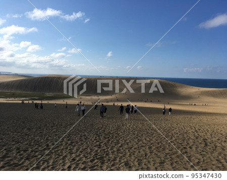 Tottori sand dunes Tottori sand dunes 95347430