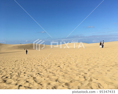 Tottori sand dunes Tottori sand dunes 95347433